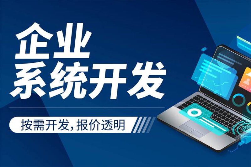 软件定制开发